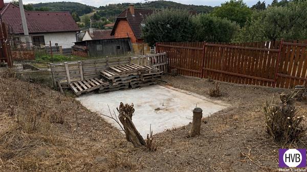 photo_3