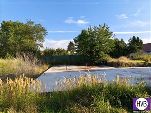 photo_1