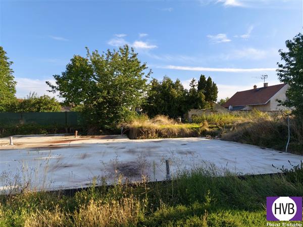 photo_4