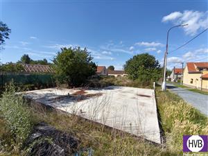 photo_1