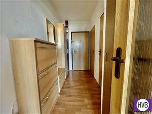 photo_11