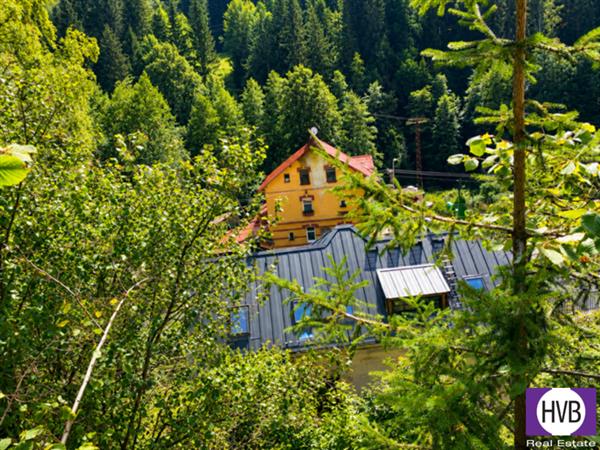 photo_5