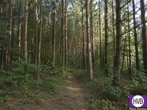 photo_3