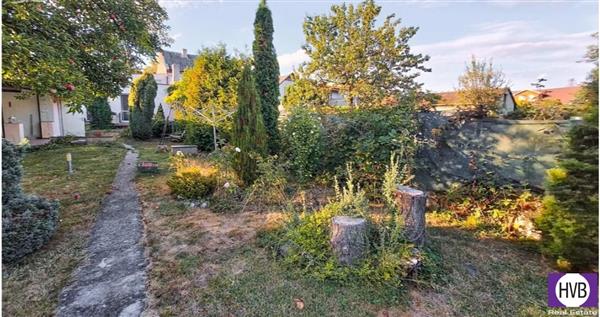 photo_22