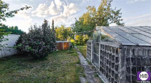 photo_23