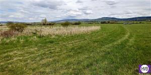 photo_1