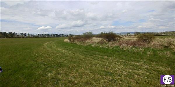 photo_5