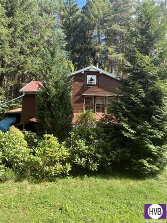 photo_2