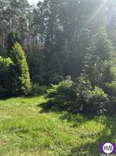 photo_3
