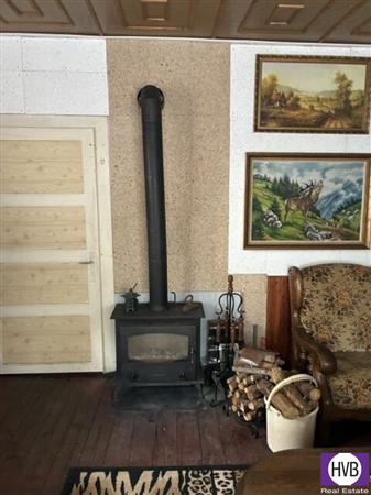 photo_6