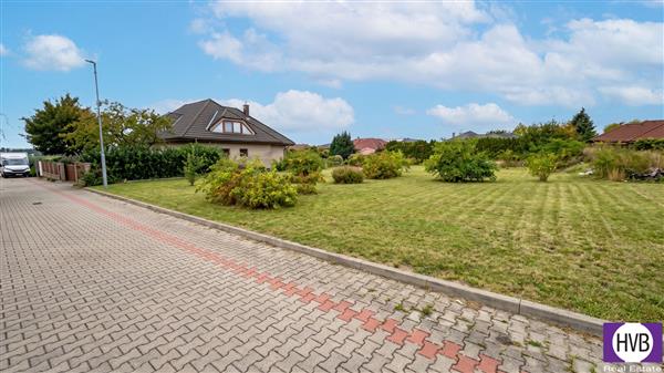 photo_5
