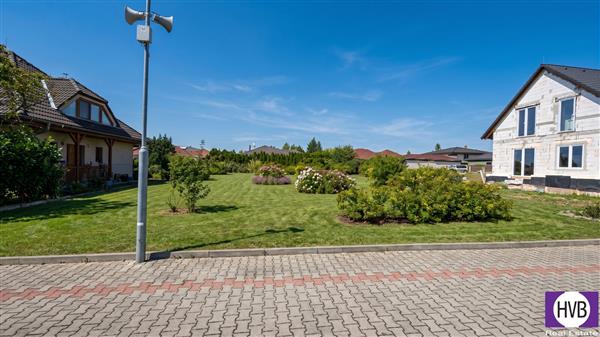 photo_6
