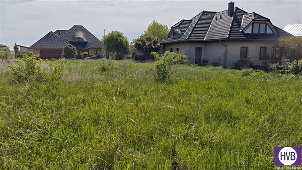 photo_8
