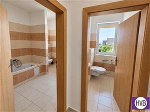 photo_6