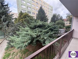 photo_6