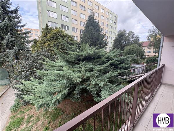 photo_5