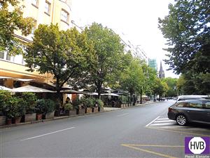 photo_5