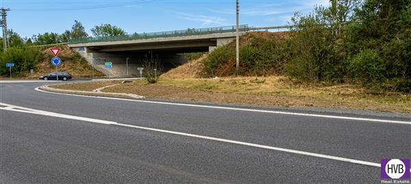 photo_6