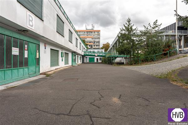 photo_5