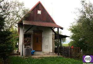 photo_1