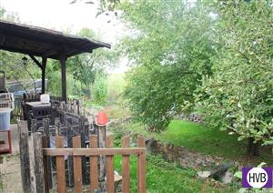 photo_6