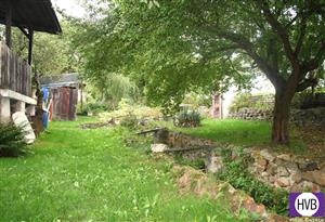 photo_7