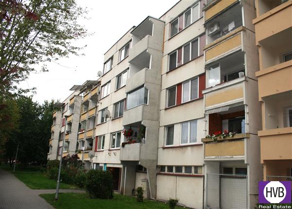 photo_8