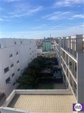 photo_4