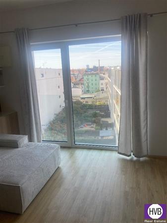 photo_3