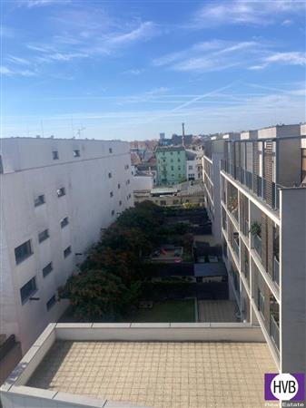 photo_4