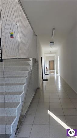 photo_16