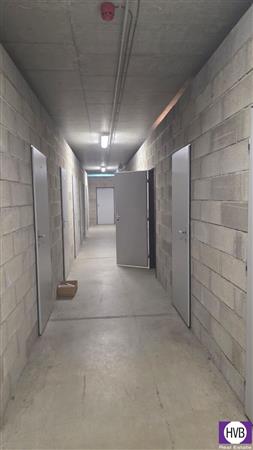 photo_17