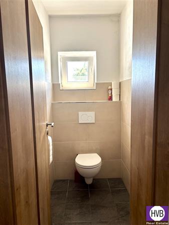 photo_15