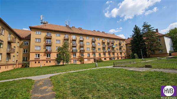 photo_11