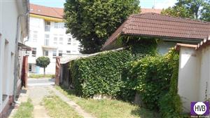 photo_4