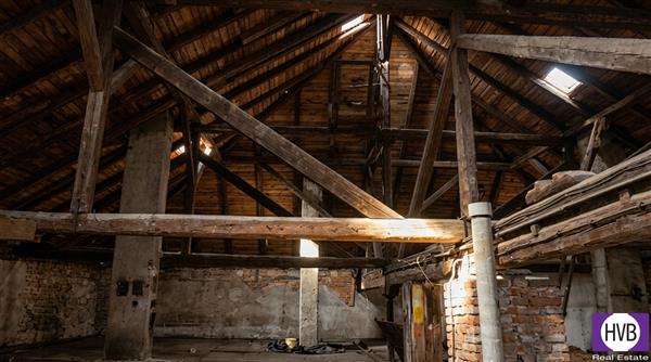 photo_14
