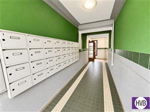 photo_8