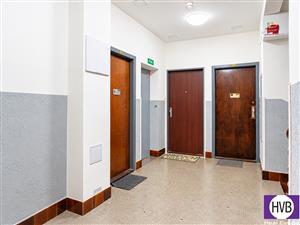 photo_11