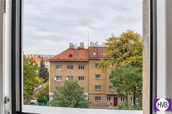 photo_5