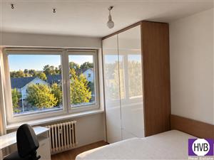 photo_4