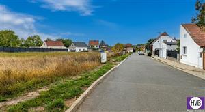 photo_1
