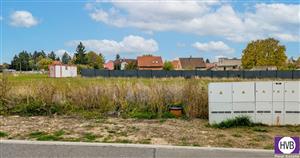 photo_2