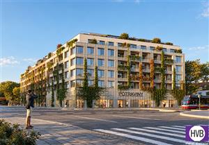 photo_4