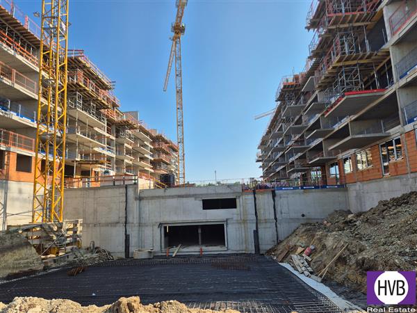 photo_3