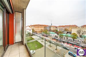 photo_6