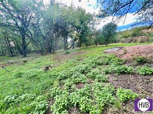 photo_4