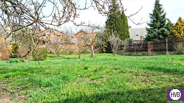 photo_5