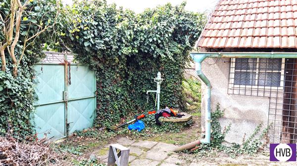 photo_11