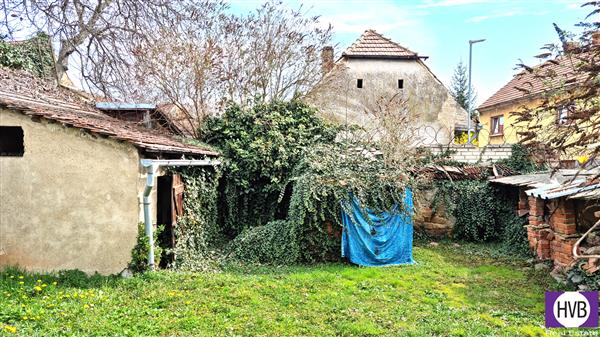 photo_12