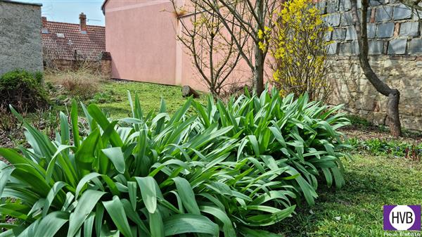 photo_6